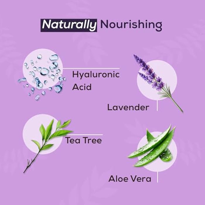 NOVEHA Lavender and Tea Tree Oil Eyelid Foaming Cleanser | Hydrating Hypoallergenic Daily Soap For Eyelashes and Lids, For Demodex, MGD, Stye Eye, Eye Irritations & Dry Skin | 3.38 fl oz (100ml) - Image 2