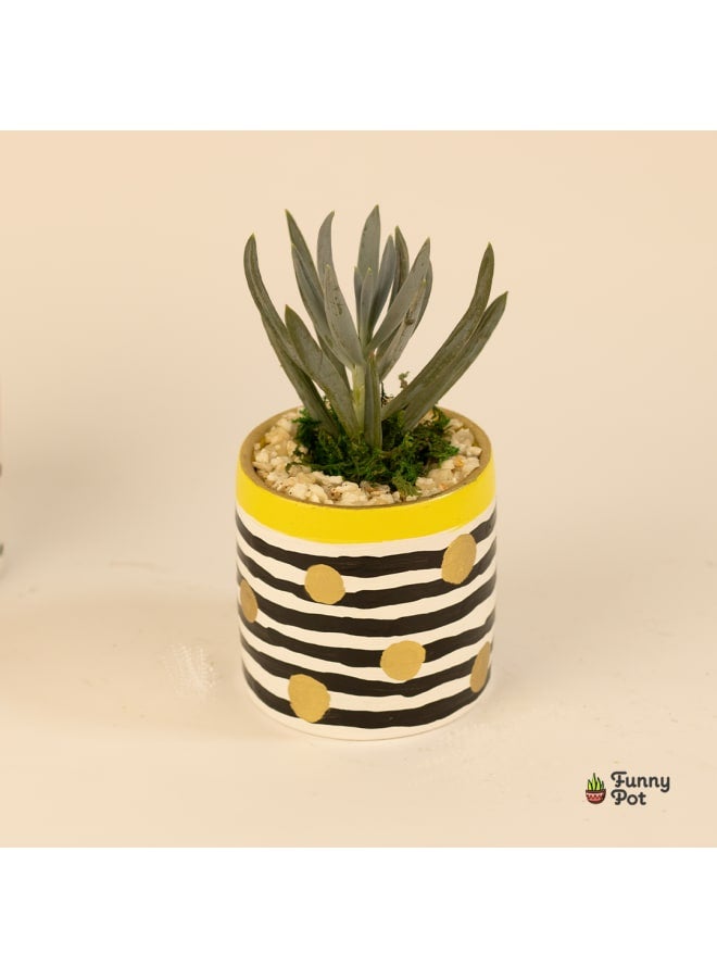 Cactus pottery pot