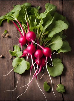 GROW Red radish seeds - Al Fajr  - Image 1