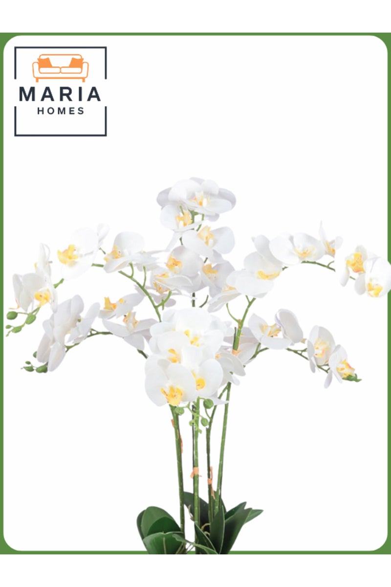 ماريا شجرة زهرة الأوركيد الاصطناعية 75 سم - ديكور داخلي أنيق مع وعاء رمادي فاتح - Image 2