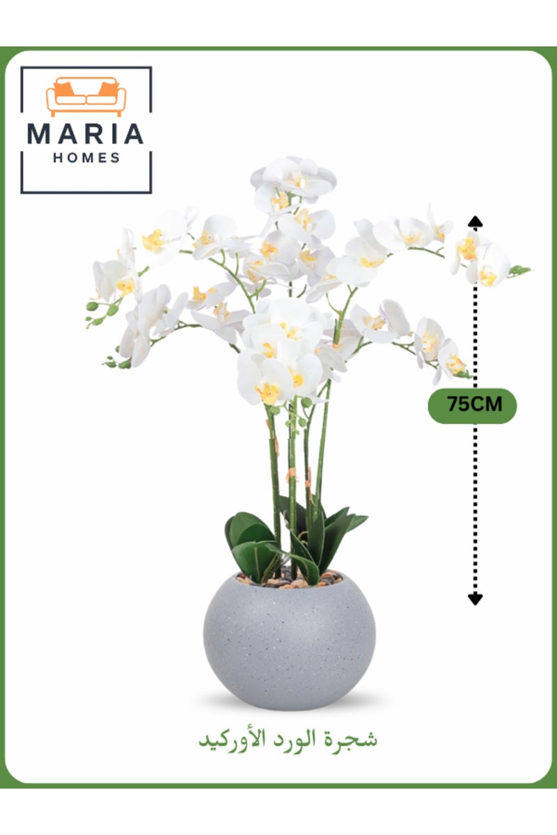 ماريا شجرة زهرة الأوركيد الاصطناعية 75 سم - ديكور داخلي أنيق مع وعاء رمادي فاتح - Image 1