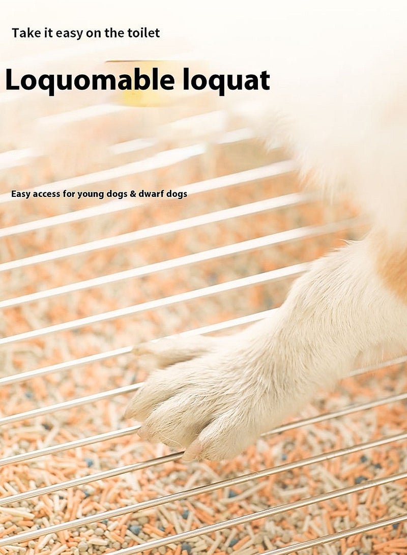 كيدل مرحاض الكلب القطة وعاء الكلب وعاء التدريب وسادة الجرو علبة مرحاض الحيوانات الأليفة الغسيلة الداخلية - Image 2