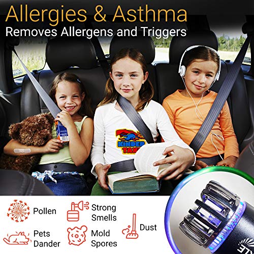 TWINKLE BIRDS Car Air Purifier Ionizer - 12V Plug-in Ionic Anti-Microbial Car Deodorizer with Dual USB Charger - Smoke Smell, Pet and Food Odors, Allergens, Viruses Eliminator for Car (Matte Black) - Image 3
