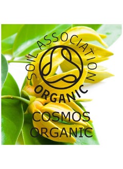 Absolute Aromas Ylang Ylang Organic Pure Essential Oil 10ml  - Image 3