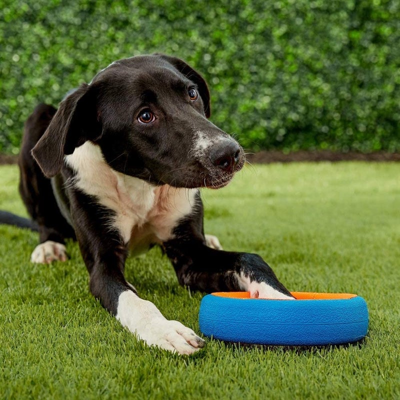 Chuckit! Fetch Wheel Outdoor Dog Toy, Small, For Small Breeds - Image 3