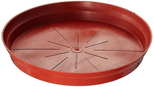 Plants Point Plastic Saucer Base Plate Planter Tray, Brown, 8 Inch, Set of 15 - Image 3