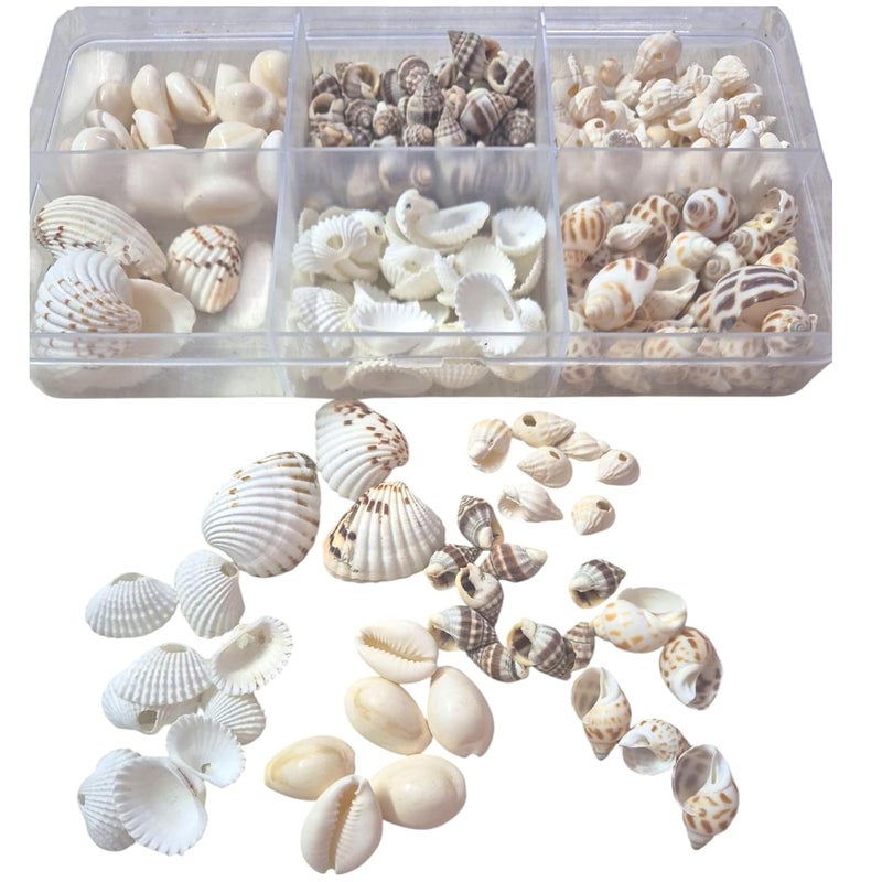 DECORAMA ديكوراما أحجار بحرية وأصداف متعددة الأنماط 400 جرام للأعمال الفنية والحرف اليدوية - Image 1