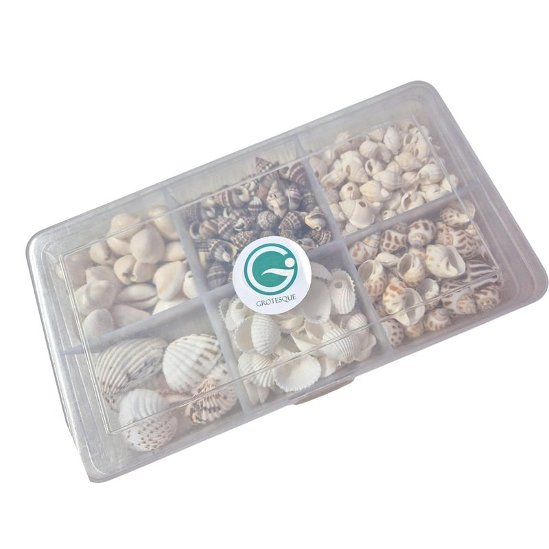 DECORAMA ديكوراما أحجار بحرية وأصداف متعددة الأنماط 400 جرام للأعمال الفنية والحرف اليدوية - Image 4
