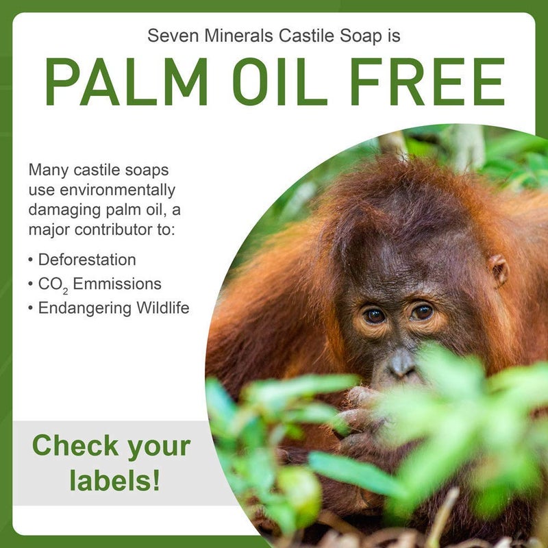 Seven Minerals Pure Castile Soap Peppermint No Palm Oil GMOFree Gentle Liquid Soap For Sensitive Skin Baby Wash All Natural Vegan Formula with Organic Carrier Oils 338 fl oz - Image 4