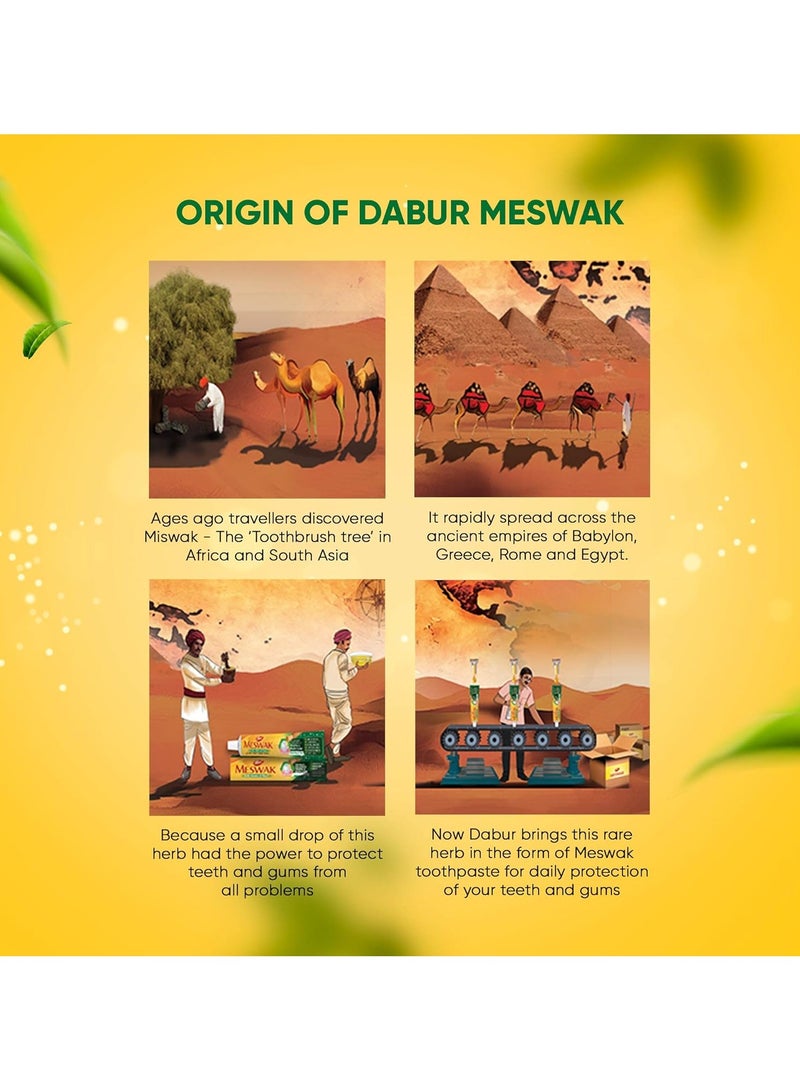 Dabur Meswak Complete Oral Care Toothpaste 500g 2 x 200g plus 1x100g Pure Miswak Extract No Fluoride Paraben or Triclosan - Image 3