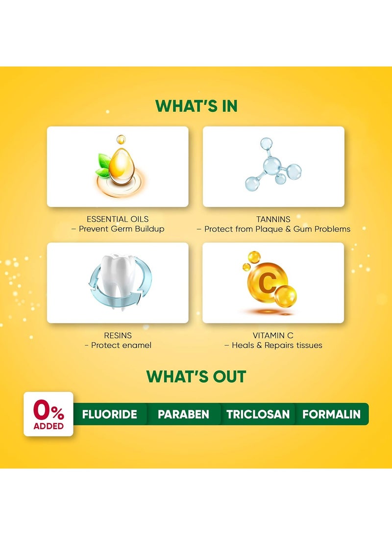 Dabur Meswak Complete Oral Care Toothpaste 500g 2 x 200g plus 1x100g Pure Miswak Extract No Fluoride Paraben or Triclosan - Image 5