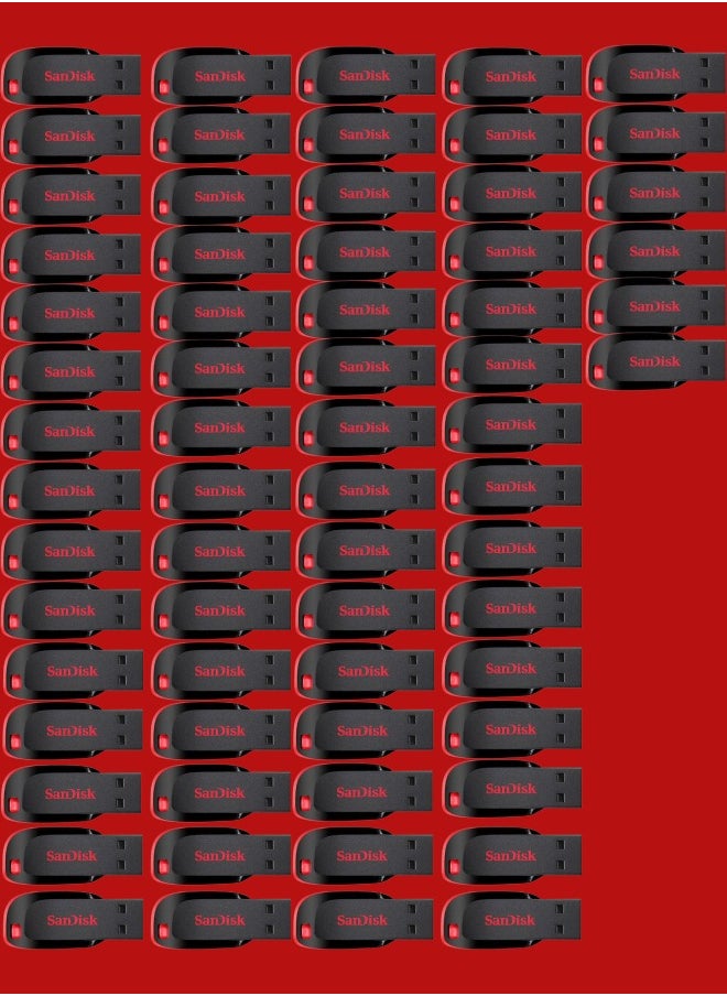 Sandisk 66 Pieces 16GB Cruzer Blade Usb Flash USB 2.0 