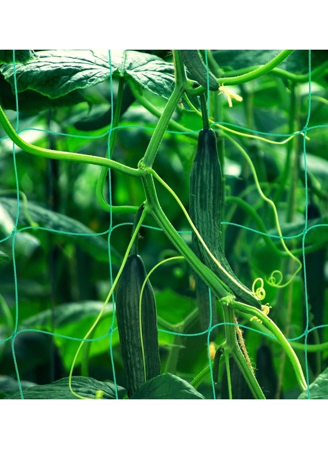 Generic 2Pcs Garden Netting Climbing Plant Supports Garden Trellis Netting Heavy Duty Mesh for Cucumber Tomato Vegetables Fruit Vine  - Image 2