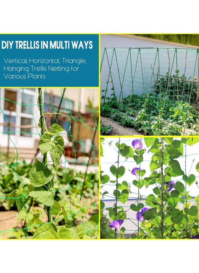 Generic 2Pcs Garden Netting Climbing Plant Supports Garden Trellis Netting Heavy Duty Mesh for Cucumber Tomato Vegetables Fruit Vine  - Image 3