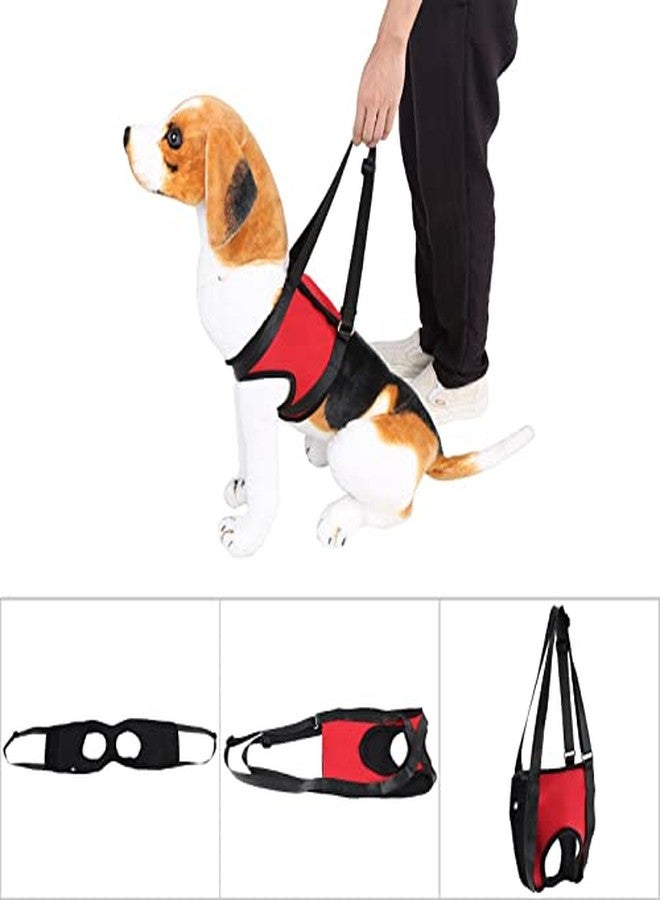 ZERONE Dog Lift Support Harness, Pet Walking Aid Leg Support Harness Walking Aid Lifting Pulling Vest for Old Injured Dogs (Red Front Legs L) - Image 3