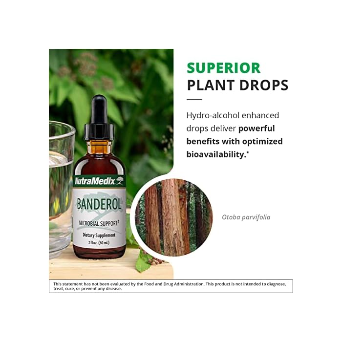 NutraMedix Daily Immune Support Supplement - Banderol Herbal Supplements for Immune System Support - Vegan Tincture - Bioavailable Otoba Bark Extract Liquid Drops (1 oz/30 ml) - Image 5