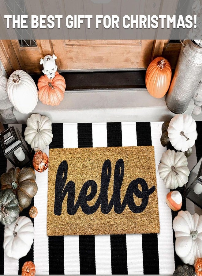 IOHOUZE Black White Striped Rug -3x5 Front Door Mats Outdoor,Washable Rug for Front Porch Decor,Spring Summer Welcome Mats Outdoor Indoor, Doormat for Farmhouse/Entryway/Home Entrance - Image 2