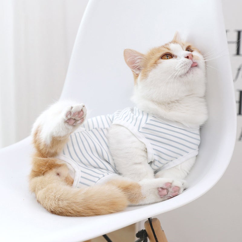 Pet Cat Recovery Suit Abdominal Wounds Protector Post-Operative Clothes - Image 4