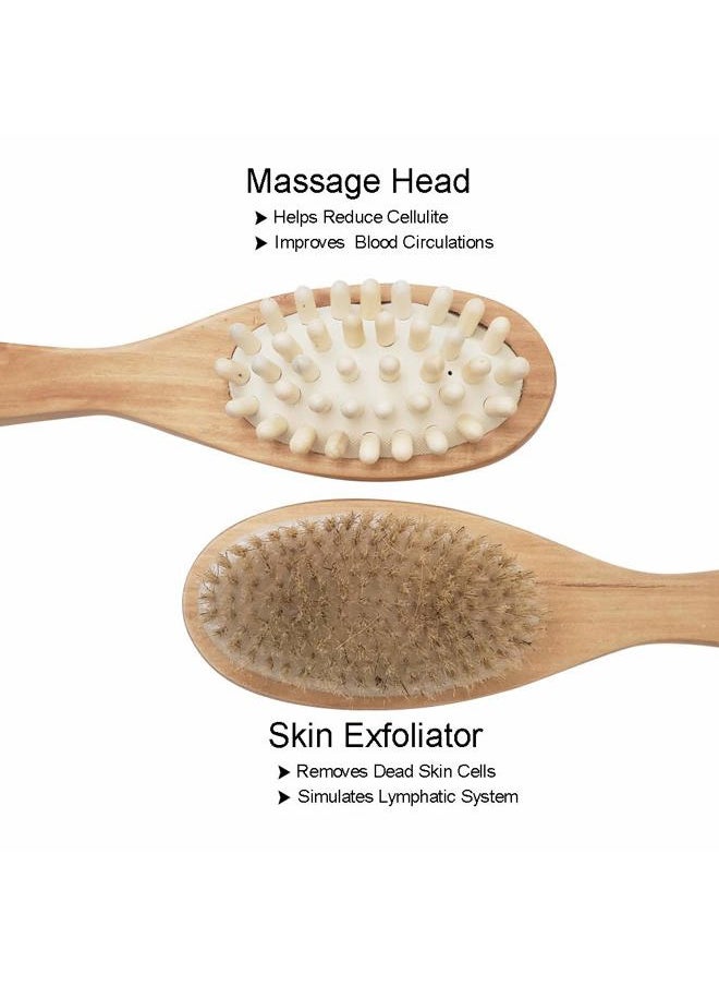Belle Being Dry Brush for Cellulite and Lymphatic Drainage. Dry Brushing Body Brush Set. Double Sided Bristle Brush Works as Body Exfoliator, Shower Brush, Exfoliating Brush, and Cellulite Massager, Gifts for Mom  - Image 3