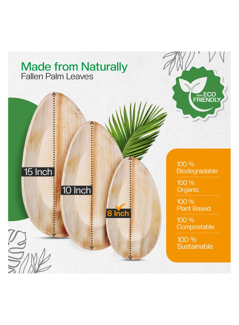 EcoEdge 8 Inch Oval Areca Palm Leaf Disposable  Plates  (Pack of 25) | Plant Based, Natural, Biodegradable, Compostable, Organic Finish | Heavy Duty, Durable, Sustainable Dining | 100% Eco Friendly - Image 5