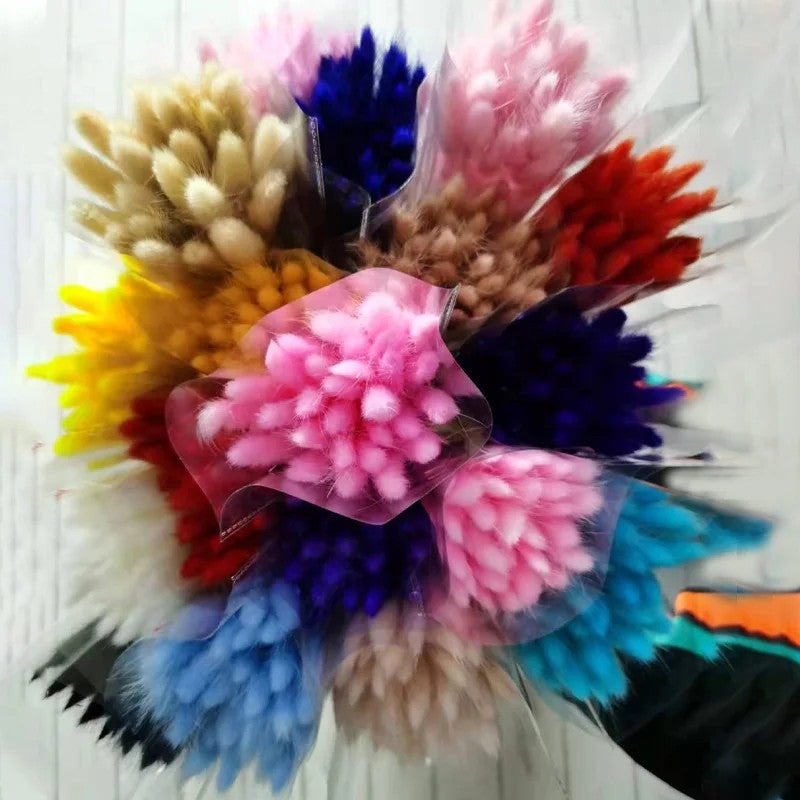 Bluejw Bouquet of Preserved Rabbit Tail Grass Dried Flowers in Primary Colors – Natural Dried Plants for Wedding Decor, Home Decoration, and Rustic Floral Arrangements - Image 4