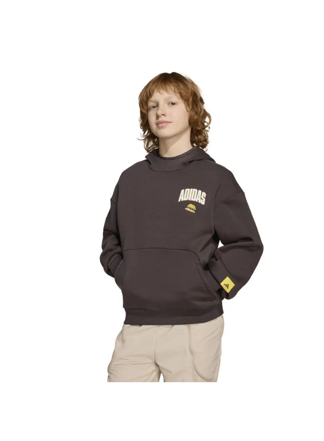 Adidas Adidas J Sim Hd Brown Hooded Sweat Sweatshirts For Kids