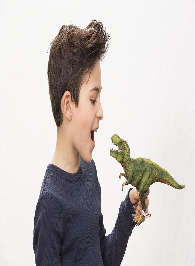 Schleich Schleich Dinosaurs, Dinosaur Toy, Dinosaur Toys for Boys and Girls 4-12 years old, Tyrannosaurus Rex, Green, 11.2" x 5.6" x 3.8" - Image 3