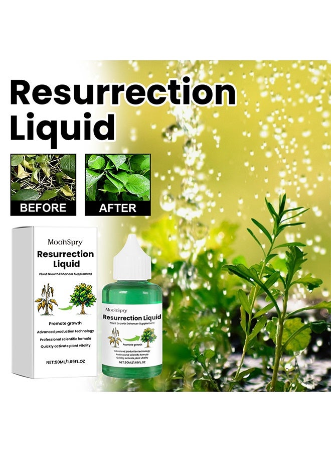 مونسبري محلول سائل لتنشيط النبات 50 مل - محسن لقيامة النبات ونموه ، سماد سائل للشتلات ، هرمونات تجذير للعقل ، مكمل غذائي لنمو النبات - Image 5
