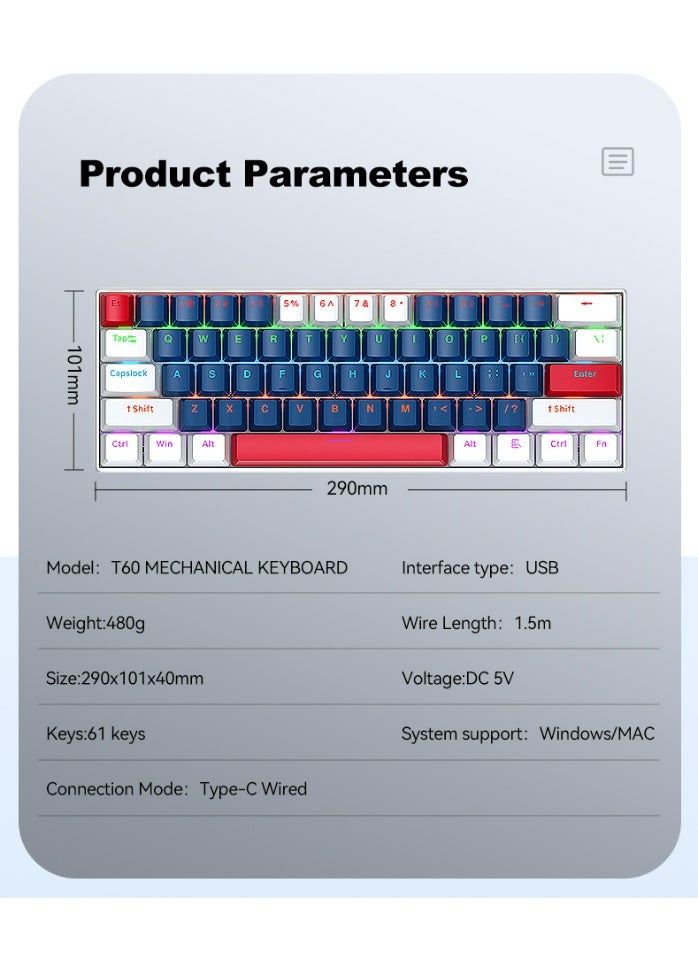 T-WOLF T60 green axis 61 key mechanical keyboard with 17 RGB backlit ultra compact mini keyboards, Type-C key cable separation, full key hot swappable 60% wired gaming keyboard, suitable for PC/Mac esports gamers, business travel portable keyboard (blue and white dual color mixing) - Image 4