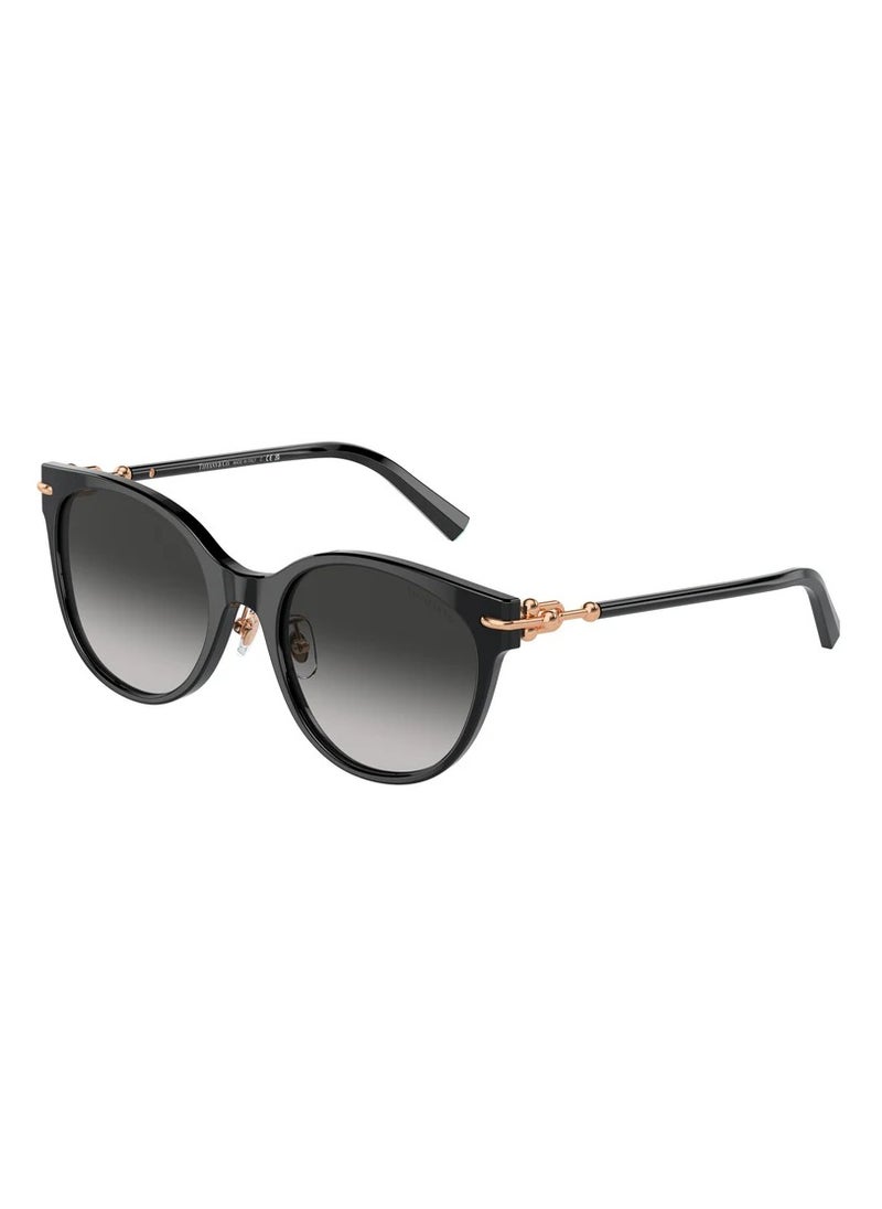 Tiffany Tiffany TF4223D Women's Sunglasses  - Image 1