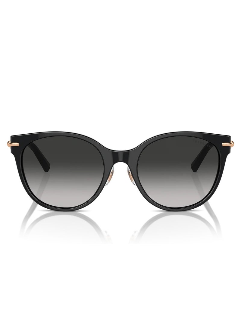 Tiffany Tiffany TF4223D Women's Sunglasses  - Image 3