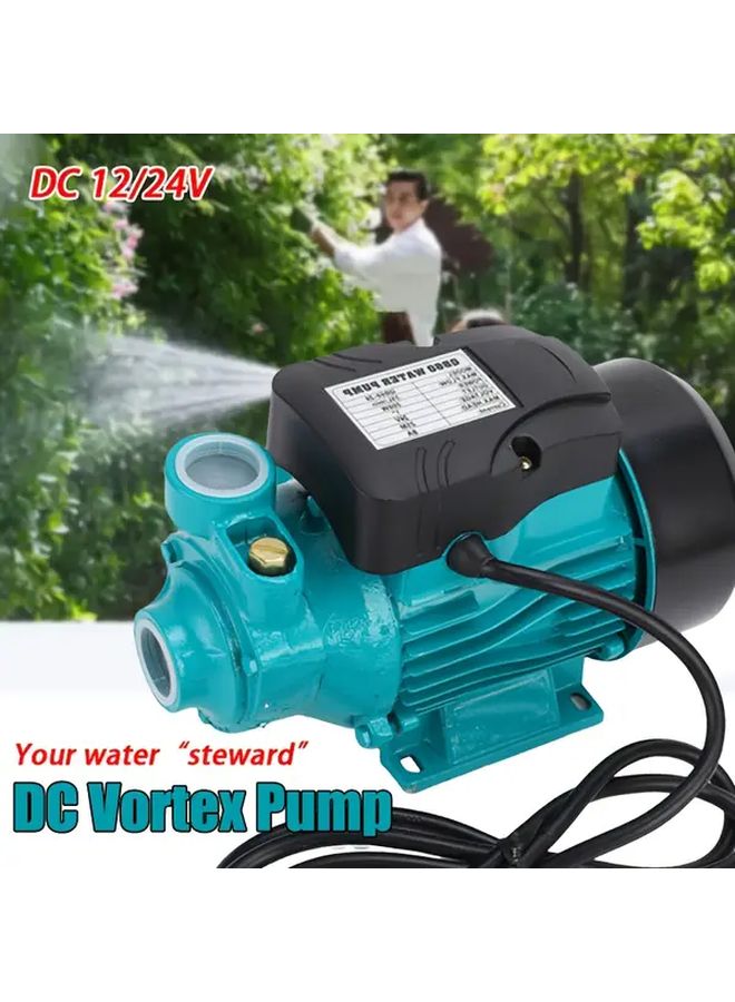 200W DC Vortex Pump 12V 24V 554.76 Gal Per Hour High Flow 25 Meter Lift 1 Inch Outlet Mini Portable Water Pump For Pools Gardens Farms And RVs Durable Metal Construction No Battery Needed Easy Installation Outdoor Water Supply - Image 1