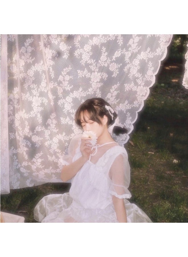 Wedding Photography Props Exterior Ins Literary English Style Romantic White Lace Picnic Mesh Photo Background Cloth-Light Source Color:1.5* 2m - Image 4