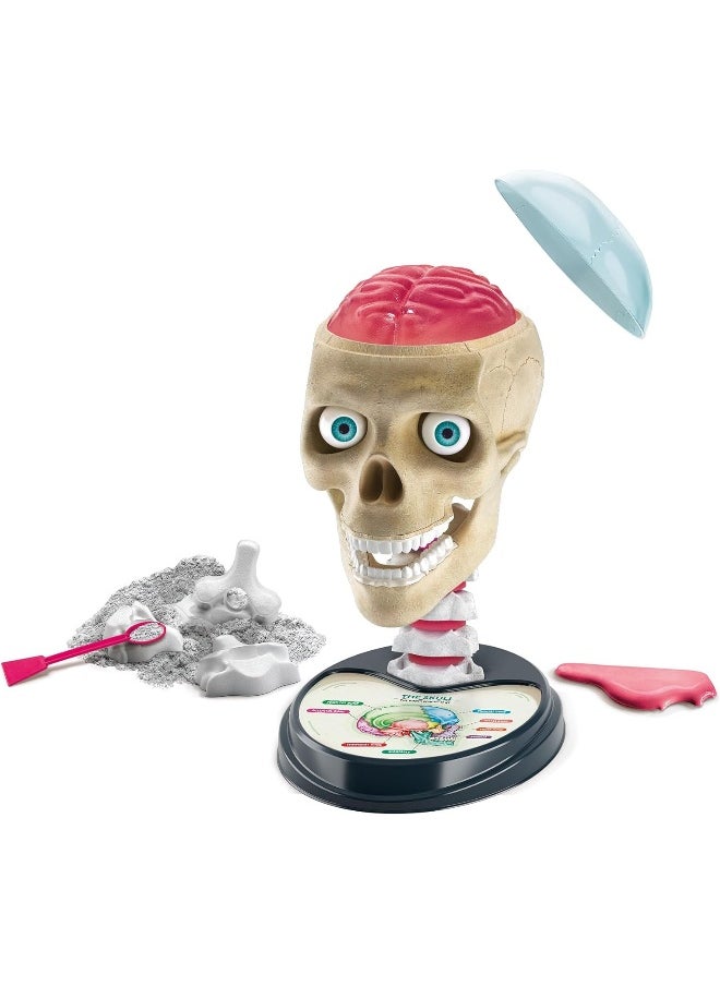 Clementoni Just Play Science & Play Crazy Anatomy Lab  - Image 2