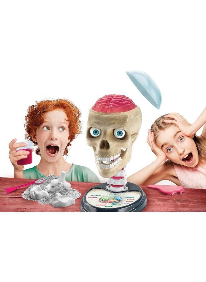 Clementoni Just Play Science & Play Crazy Anatomy Lab  - Image 3