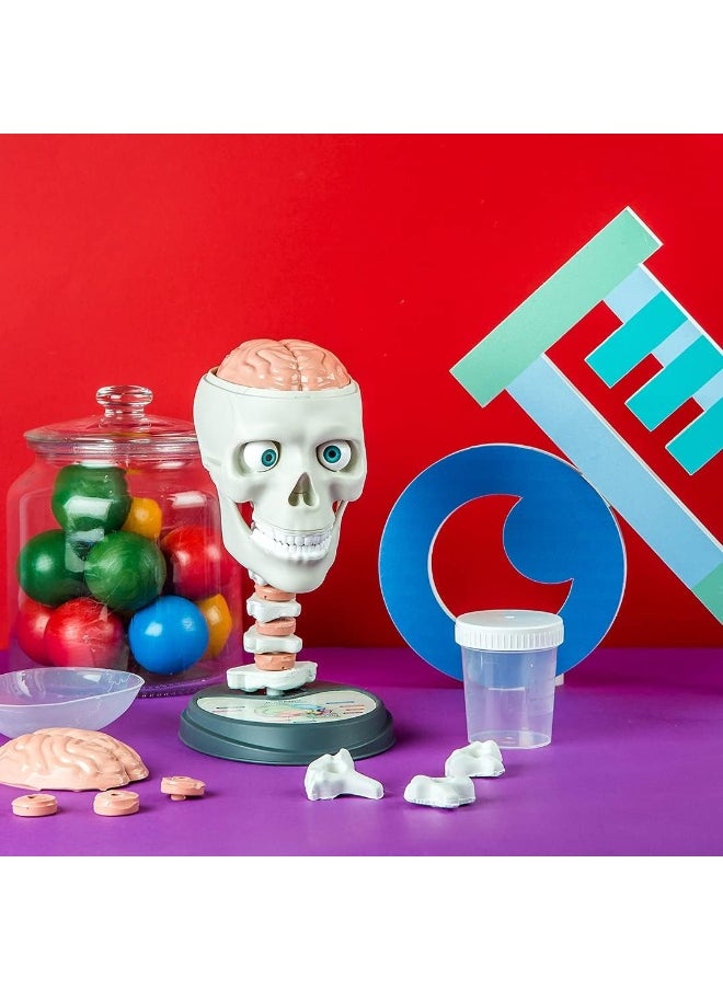 Clementoni Just Play Science & Play Crazy Anatomy Lab  - Image 4