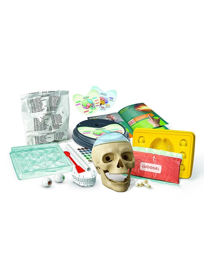 Clementoni - Clementoni Crazy Anatomy - Image 1