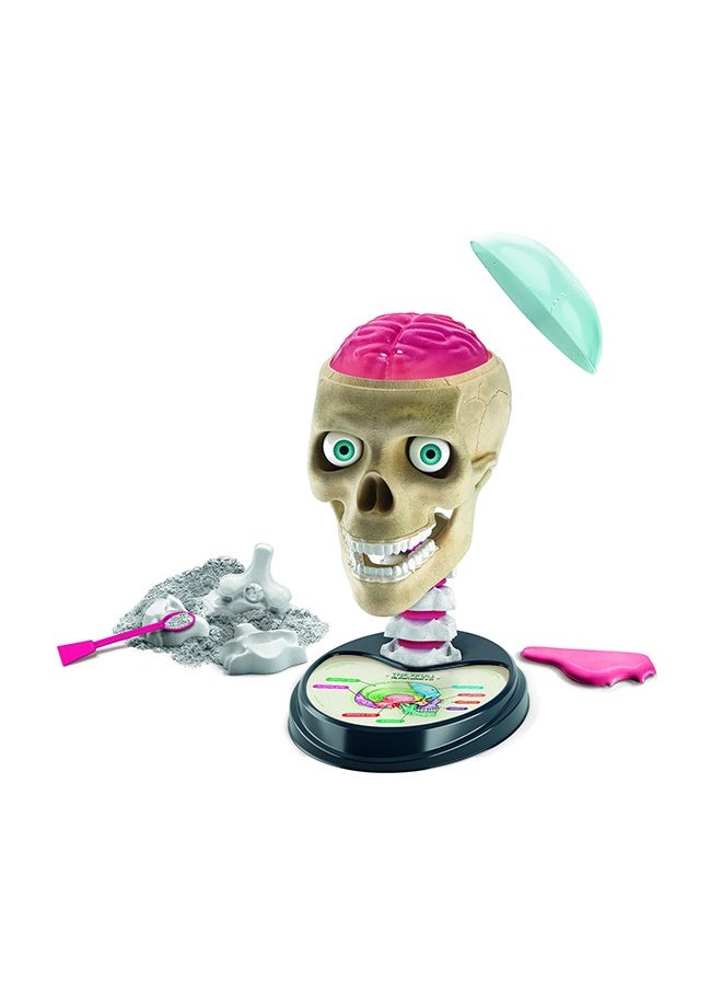 Clementoni - Clementoni Crazy Anatomy - Image 1