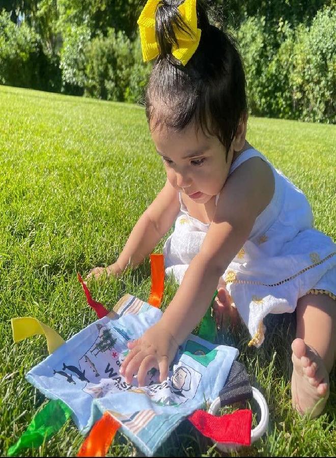 The Learning Lovey Baby Jack & Co 8x8” Learning Lovey Tag Toys for Babies - Baby Crinkle Toys - Crinkle Toys for Baby - Soft & Safe - Learn USA State Facts - Ideal Baby Toy BPA Free w/Stroller Clip (Washington_8x8) - Image 3