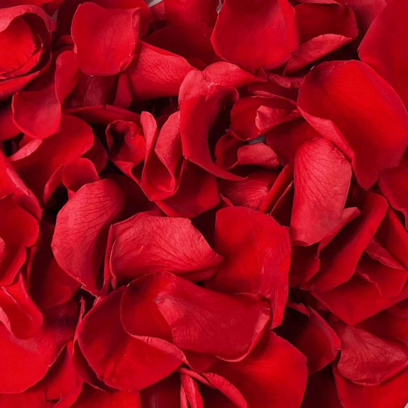 Eslibin180 PCS Dried Real Red Rose Flower Petals Confetti for Wedding 175oz Preserved Freeze Flower Girl Petals for Romantic Night Wedding Proposal Centerpeice BabyShower Decor