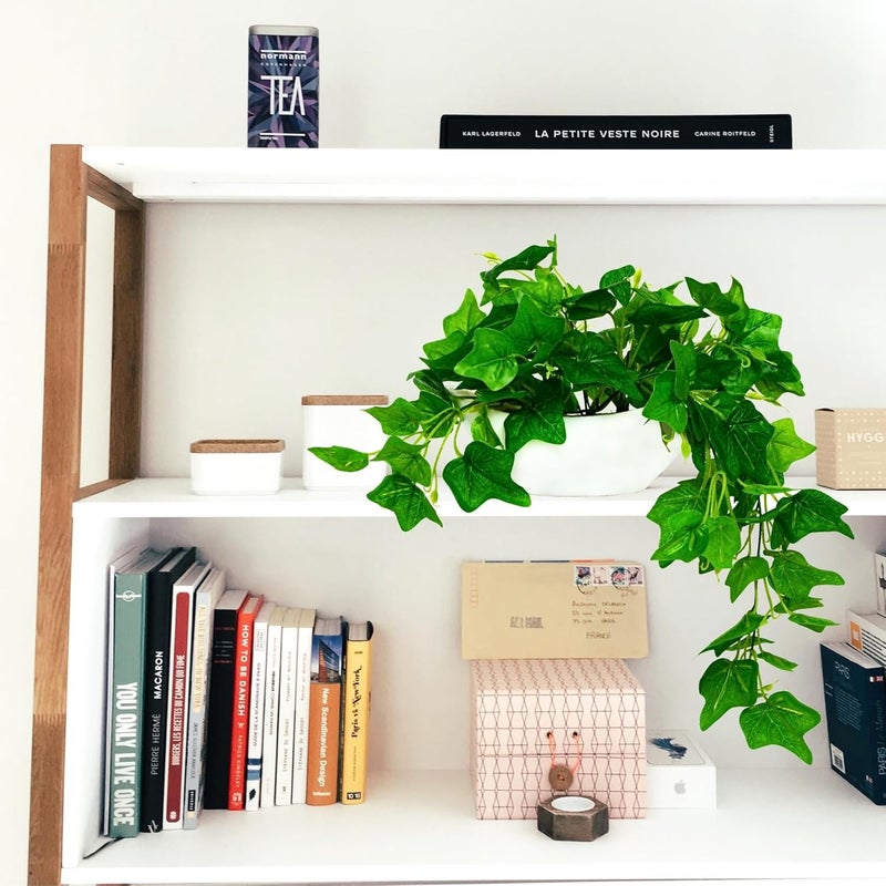 fancymart Elegant Artificial Plant Falling Leaves with Pot for Home & Office Decor – Versatile Potted Plant for Tabletop, Shelves, or Hanging Display - Image 5