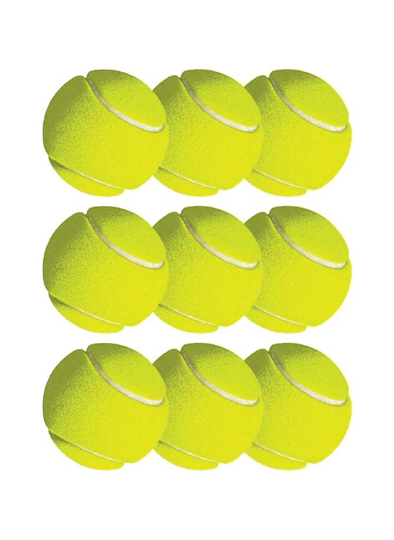 CMGTYYD 12 Pack Advanced Pressure Tennis Balls for Training, Practice, and Dogs - With Transport Bag for Beginner Exercise  - Image 1