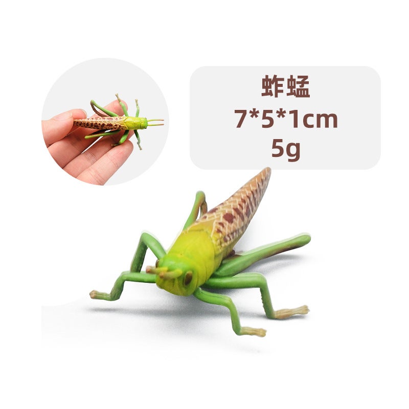 Simulation animal model chameleon ice spider ladybug solid insect model childrens toy sand table ornaments cross border Grasshopper 1675 Grasshopper 1675