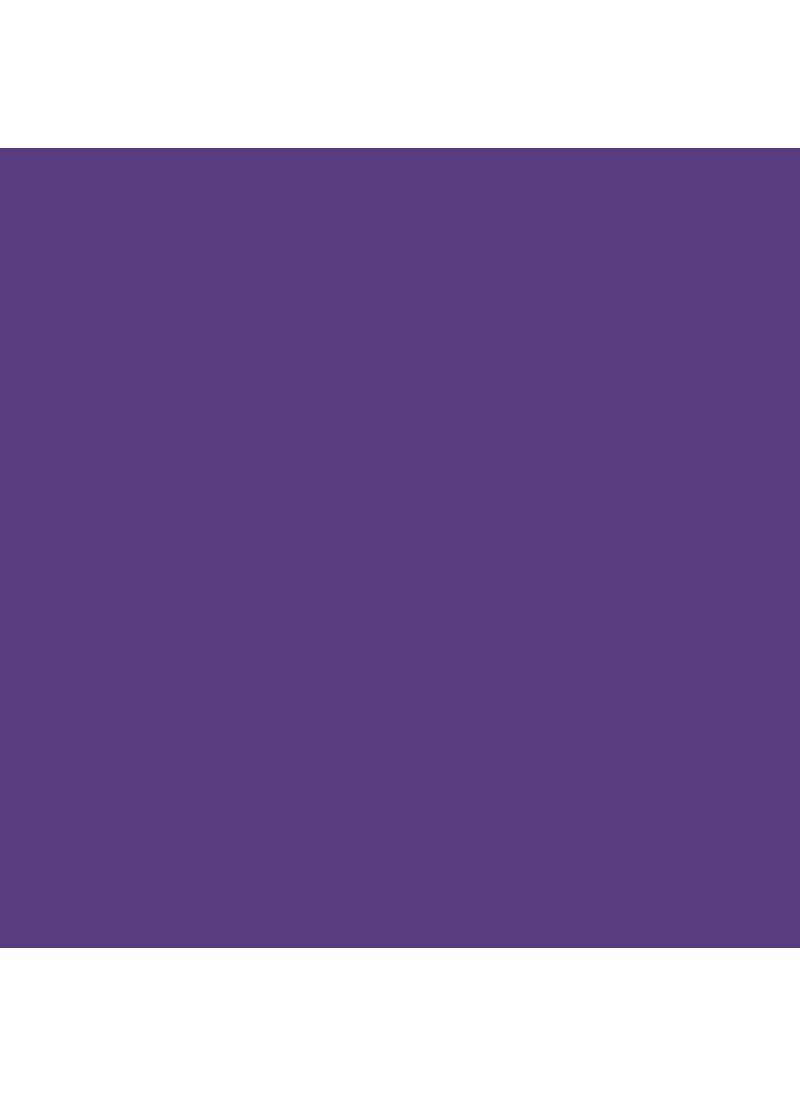 Cricut Cricut Smart Vinyl Removable 1 Sheet 33cm x 09m Purple 3ft  - Image 4