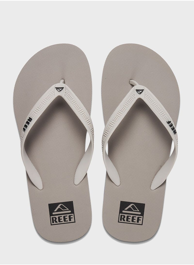 Reef - Reef Seaside - Image 1