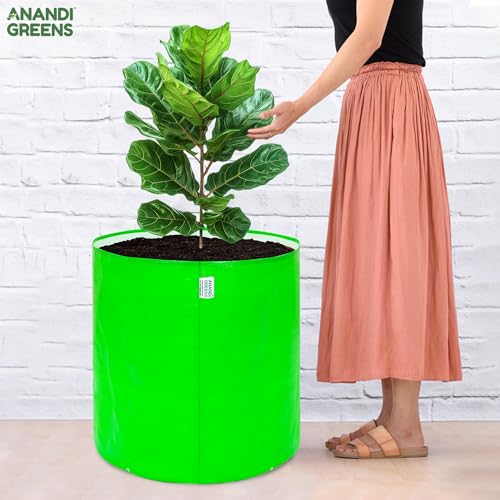 Anandi Green's HDPE 24x24 Inch Extra Large Grow Bag 260 GSM Round for Big Fruit Trees Lemon, Guava, Papaya, Pomegranate, Banana Tree Planter Pot for Terrace & Garden - Image 3