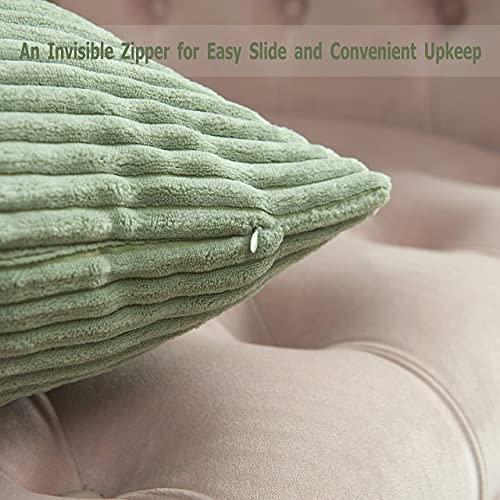 Guffaw / Corduroy/Stripped/Luxury 340 TC Cushion Covers Standard Size 16"X16" Inches (Sage Green, 4) - Image 5