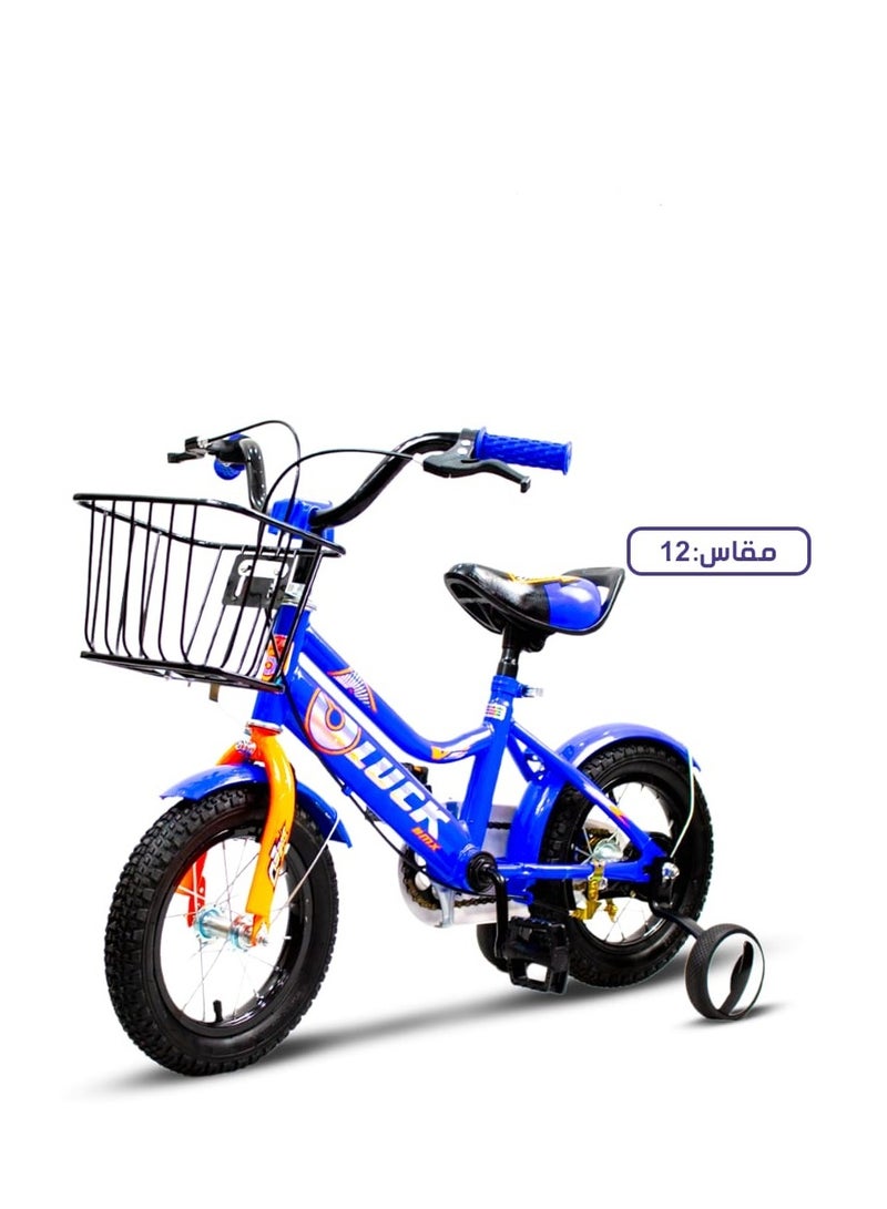 Sports Metallic Bicycle - Size 12
