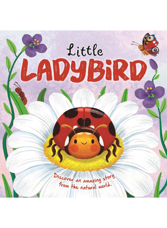 Little Ladybird