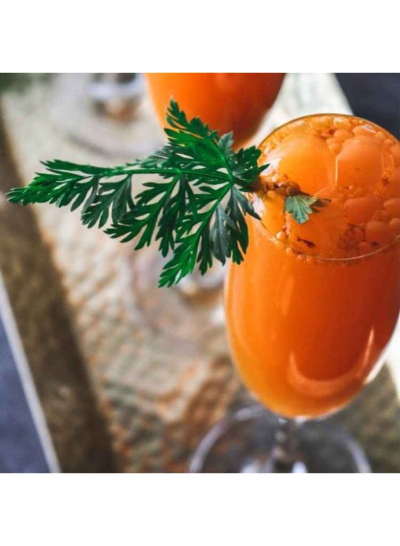 Top Pick Classic Beer Glass 420Ml Set Of 6